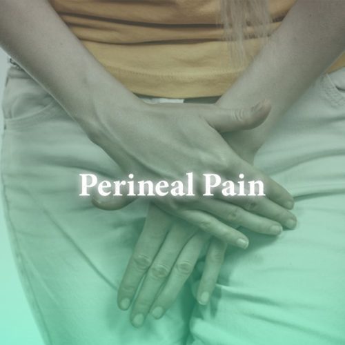 Perineal, vaginal, scrotal, penile pain