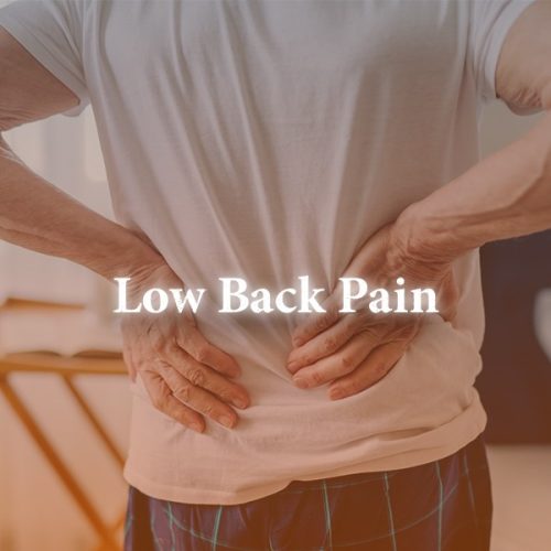 Low back lumbar